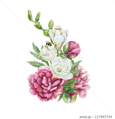 Peonies, freesia and bumblebee. Beautiful bouquet of burgundy and white flowers. Hand drawn watercolor illustration isolated on white. For birthday cards, wedding invitations, covers, labels, posters. 117997724