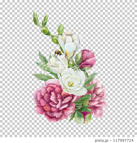 Peonies, freesia and bumblebee. Beautiful bouquet of burgundy and white flowers. Hand drawn watercolor illustration isolated on white. For birthday cards, wedding invitations, covers, labels, posters. 117997724