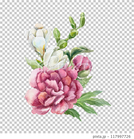 Bouquet of peonies and freesias. Beautiful burgundy and white flowers. Hand drawn watercolor illustration isolated on white. For birthday greeting cards, wedding invitations, covers, labels, posters. 117997726