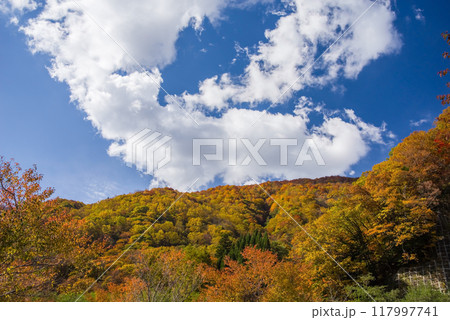 奥飛騨温泉郷「平湯温泉」の紅葉 117997741