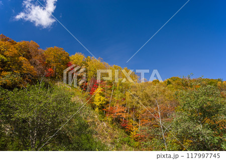 奥飛騨温泉郷「平湯温泉」の紅葉 奥飛騨温泉郷「平湯温泉」の紅葉 117997745