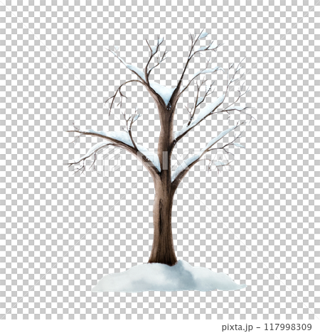 Snow covered tree without leaves. Winter watercolor plant, hand painted illustration isolated on background. For designers, decoration, shop, for postcards, wrapping paper, covers. For posters and tex 117998309