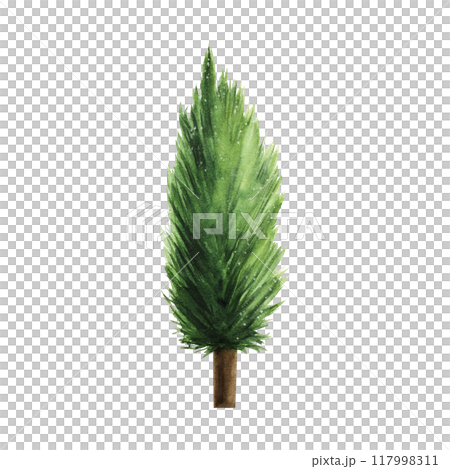 Fir, spruce, pine, cedar tree. Christmas watercolor plant, hand painted illustration isolated on background. For designers, decoration, shop, for postcards, wrapping paper, covers. For posters and tex 117998311