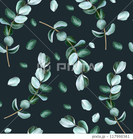 Realistic eucalyptus branch seamless pattern. Watercolor hand drawn green plant isolated on transparent background. Christmas, winter, and wedding illustration. For designers, invitations, decoration, 117998361