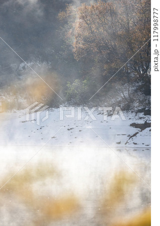 紅葉と霧に包まれた新雪の森 紅葉と霧に包まれた新雪の森 117998777