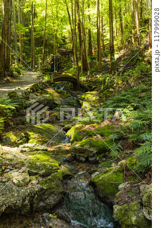 三重県志摩市磯部町にある天の岩戸を流れる小川と境内の風景 117999028