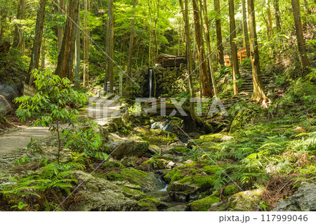 三重県志摩市磯部町にある天の岩戸を流れる小川と境内の風景 117999046