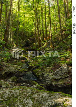 三重県志摩市磯部町にある天の岩戸を流れる小川と境内の風景 117999048
