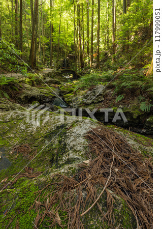 三重県志摩市磯部町にある天の岩戸を流れる小川と境内の風景 117999051