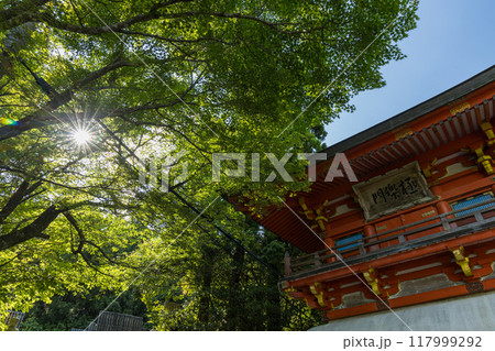 日本　三重県伊勢市朝熊町岳にある金剛證寺の極楽門 117999292