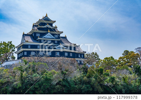 岡山市　岡山城 117999378