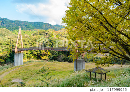 夢かけ橋の紅葉の風景 117999926