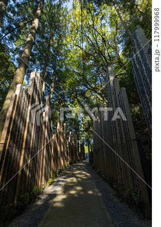 日本　三重県伊勢市朝熊町岳にある金剛證寺の奥之院へと続く卒塔婆群 117999968