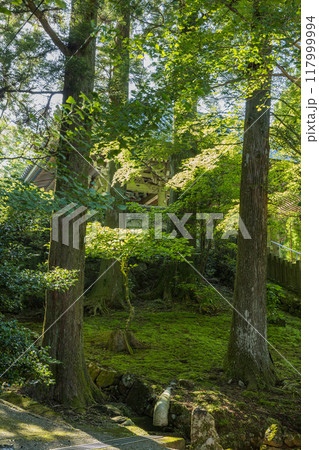 日本　三重県伊勢市朝熊町岳にある金剛證寺の境内 117999994