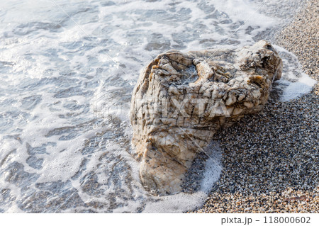 White coastal rock is in wet sand White coastal rock is in wet sand 118000602
