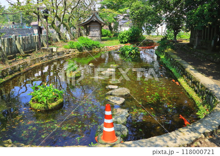 阿蘇神社の池(水基めぐり・阿蘇市) 阿蘇神社の池(水基めぐり・阿蘇市) 118000721
