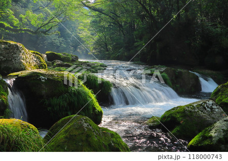 光さす菊池渓谷（熊本県菊池市） 118000743