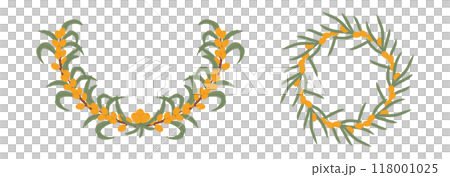 Illustration featuring two sea buckthorn berry wreaths with green leaves, arranged in circular patterns of the bright orange berries and fresh foliage. 118001025