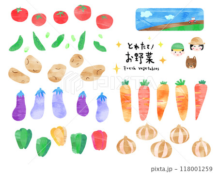 カラフルで手書き風な野菜のイラストいろいろ カラフルで手書き風な野菜のイラストいろいろ 118001259