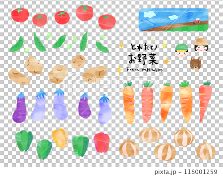 各種色彩繽紛的手繪蔬菜插圖 各種色彩繽紛的手繪蔬菜插圖 118001259