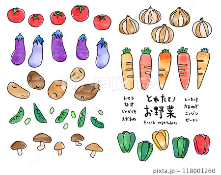 カラフルで手書き風な野菜のイラストいろいろのイラスト素材