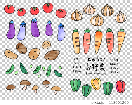 カラフルで手書き風な野菜のイラストいろいろのイラスト素材