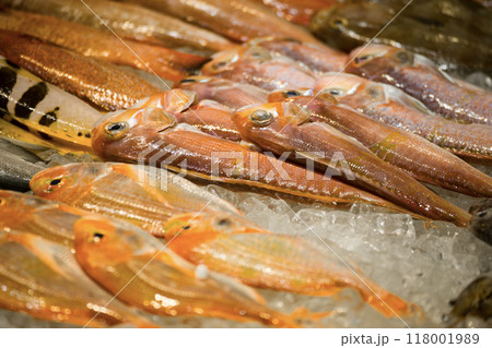 すがすがしさ 新鮮 さわやか 118001989