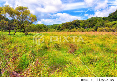 原野夏空③ 118002139
