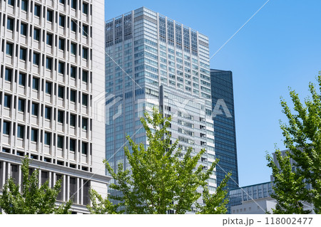 東京丸ノ内の緑のあるオフィス街の風景 118002477
