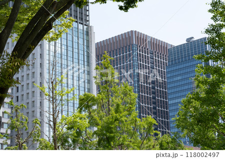 東京大手町の緑のあるオフィス街の風景 118002497