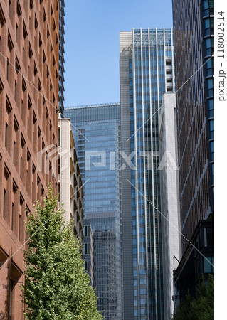 東京丸ノ内の緑のあるオフィス街の風景 118002514