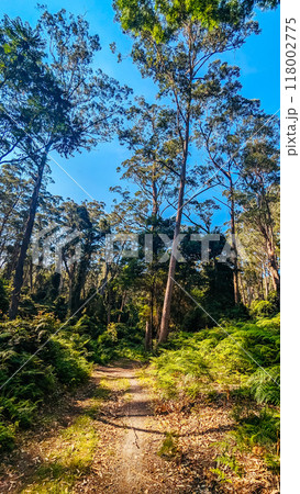 Narooma MTB Trails in Australia 118002775