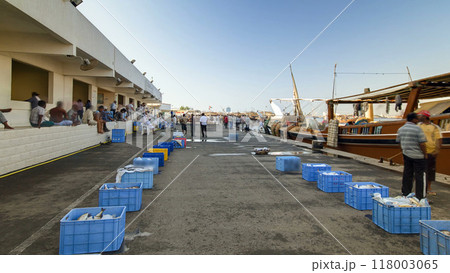 Fish market in the emirate of Ajman timelapse hyperlapse. United Arab Emirates 118003065