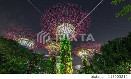 Futuristic view of amazing illumination at Garden by the Bay night timelapse hyperlapse in Singapore. 118003212