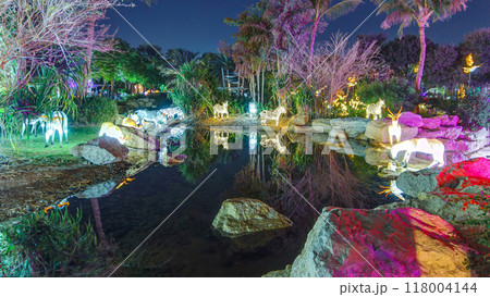 Dubai Glow Garden timelapse with illuminated trees and sculptures 118004144
