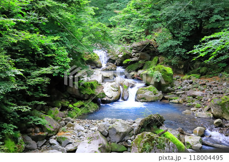 那須塩原の秘境スッカン沢 青白い水の流れ 那須塩原の秘境スッカン沢 青白い水の流れ 118004495