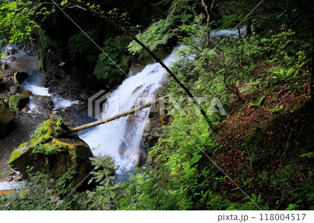 那須塩原の秘境スッカン沢 滝めぐり 仁三郎の滝 那須塩原の秘境スッカン沢 滝めぐり 仁三郎の滝 118004517
