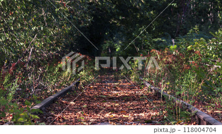 An Abandoned Railway Track Overtaken by Nature An Abandoned Railway Track Overtaken by Nature 118004704