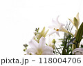 鉄砲ゆり（32） 118004706