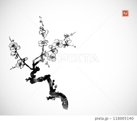 Ink painting with plum blossom branch. Traditional oriental ink painting sumi-e, u-sin, go-hua with sakura branch on white background Hieroglyph - bloom. Ink painting with plum blossom branch. Traditional oriental ink painting sumi-e, u-sin, go-hua with sakura branch on white background Hieroglyph - bloom. 118005140