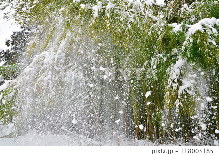 竹林と落雪 118005185