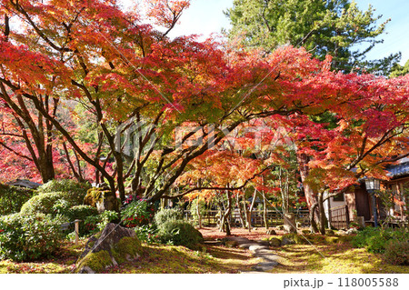 龍野公園の紅葉 龍野公園の紅葉 118005588