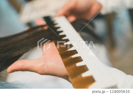 beauty parlor 118005610