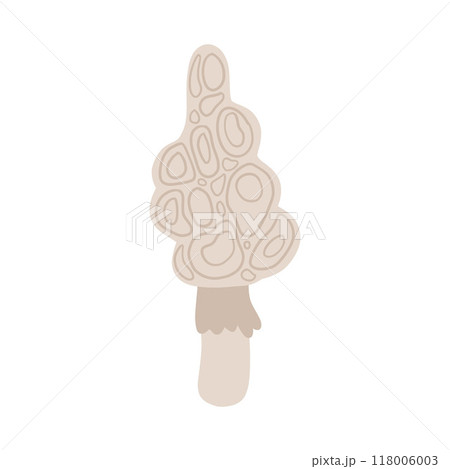 Hand-drawn illustration of a morel mushroom, ideal for articles on foraging, gourmet cooking, and wild edible fungi. Perfect for content focused on organic, natural food 118006003