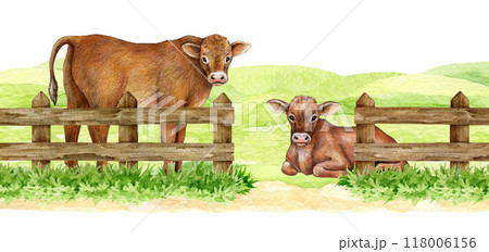 Couple of cows on meadow green grass protected with wooden fence with center entrance. Painted illustration. Farm pasture with cattle surrounded by wooden fence. Countryside farm field landscape 118006156