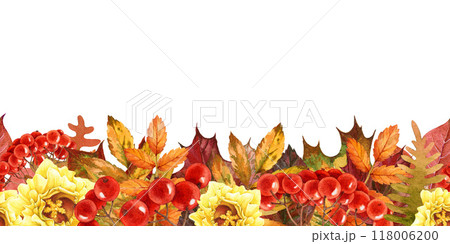 Autumn season bright leaves seamless border. Watercolor illustration. Bright fallen leaves, red rowan berries, flowers endless natural decor element on white background 118006200