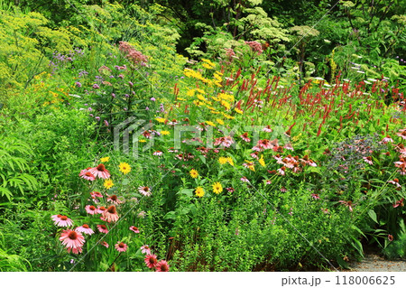 上野ファーム　ノームの庭 118006625