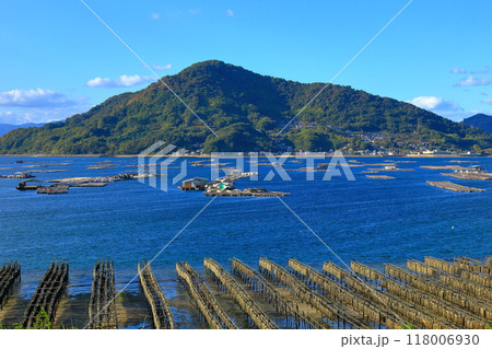 自然豊かな江田島で育つ たくさんの牡蠣たち 118006930