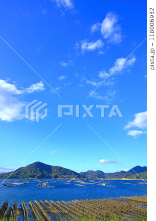 自然豊かな江田島で育つ たくさんの牡蠣 118006932