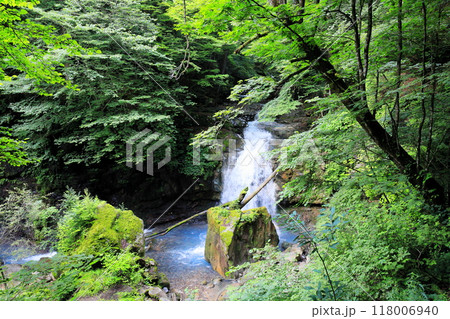 那須塩原の秘境スッカン沢　滝めぐり　仁三郎の滝 118006940